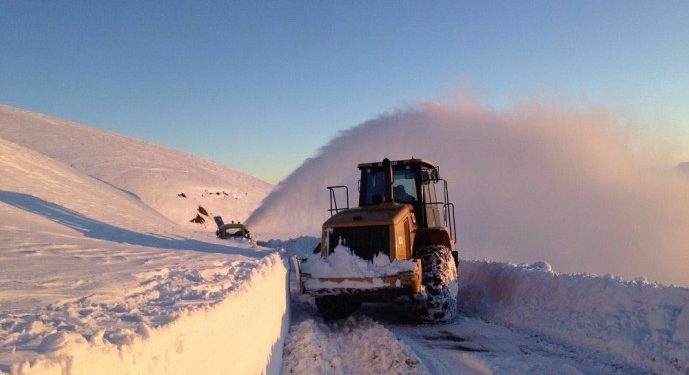 Serhat kara karşı direniyor!