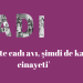 ‘Geçmişte cadı avı, şimdi de kadın cinayeti’