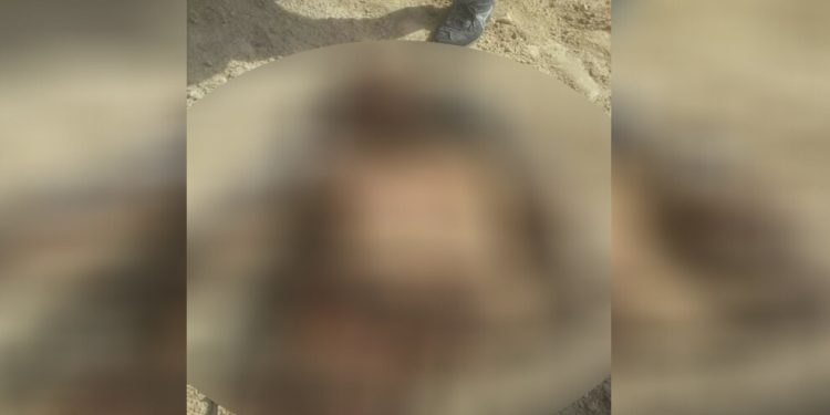 Hesekê’de çete üyesi öldü, bomba yüklü motosiklet imha edildi