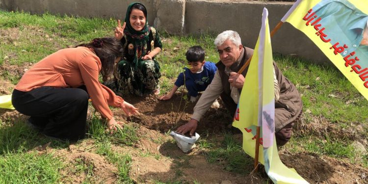 Kandil’de 4 Nisan vesilesiyle fidanlar dikildi