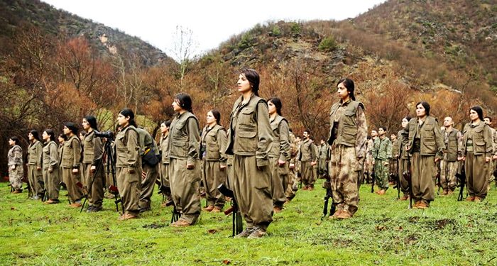 Fedai Gerilla Çizgisini Toplumsallaştıralım, Önderliğin Özgürlüğünü Kazanalım – IV