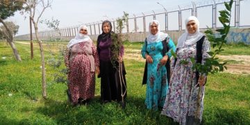 Barış Anneleri, Halklar Önderi Abdullah Öcalan için fidan dikti