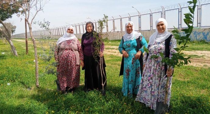 Barış Anneleri, Halklar Önderi Abdullah Öcalan için fidan dikti
