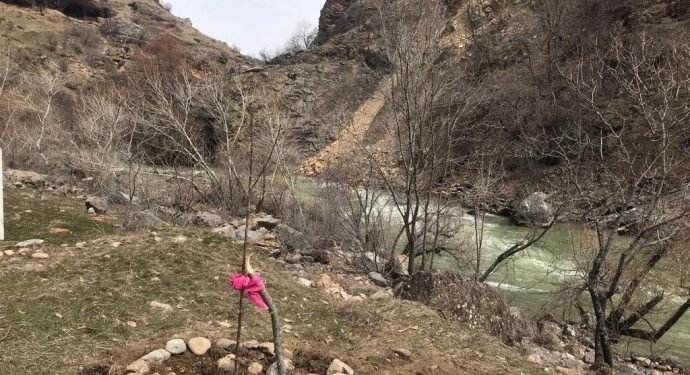 Halklar Önderi’nin 73’üncü yaşı vesilesiyle 73 fidan dikildi