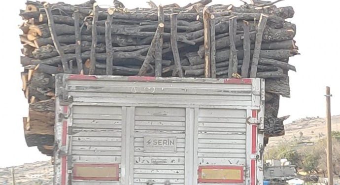 Zap, Avaşîn ve Metîna’ya götürülen işbirlikçi korucular doğa katliamı yapıyor