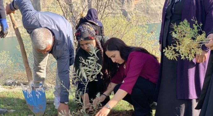 Burası Amara – Halklar Önderinin doğduğu topraklara fidanlar dikiliyor
