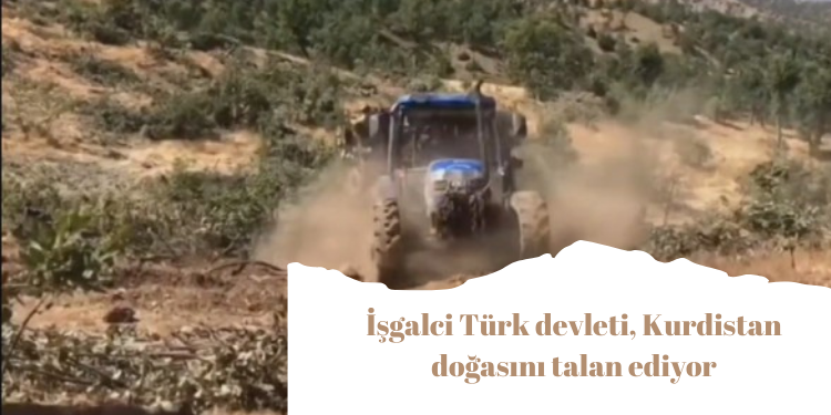 İşgalci Türk devleti, Kurdistan doğasını talan ediyor
