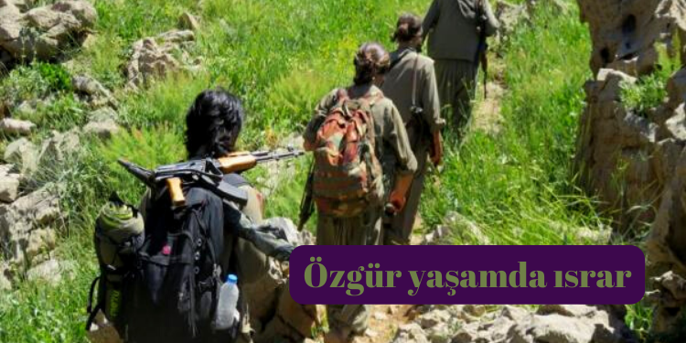 Özgür yaşamda ısrar