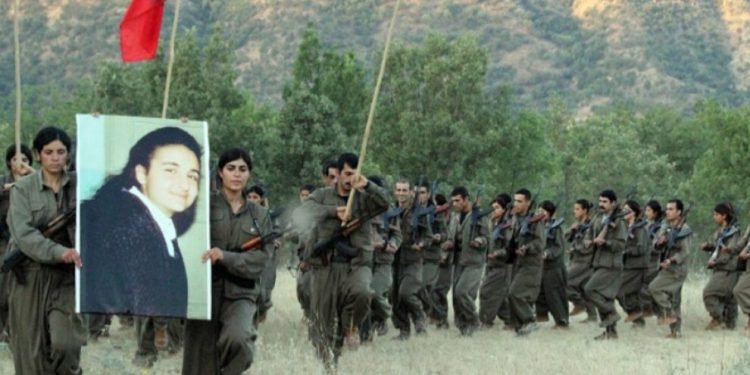 YJA-Star: Her gerilla Zilandır