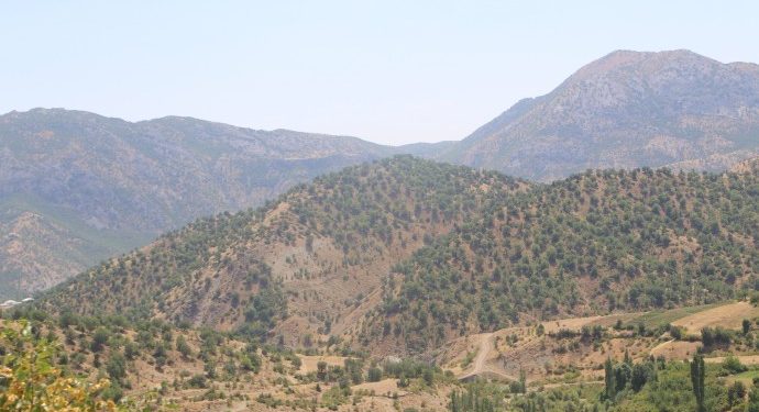 Lice’de işgal hareketliliği yaşanıyor