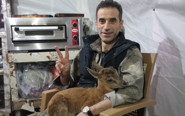 İşgalci TC’nin bombardımanları sonucu yaralanan hayvanları gerilla tedavi ediyor