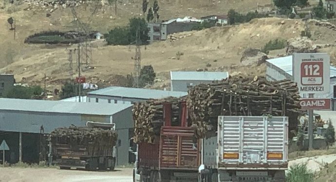 Besta’nın doğası talan ediliyor