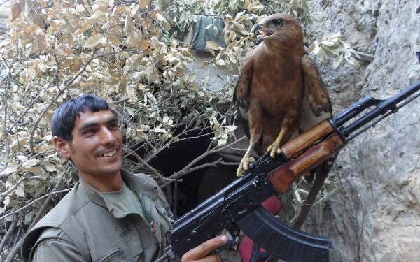 HPG Zap’ta şehit düşen 3 gerillanın kimlik bilgilerini paylaştı