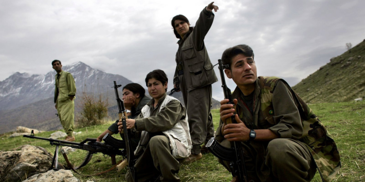 Gerillanın Kaleminden – Heval Ali’yi Kurtarın!