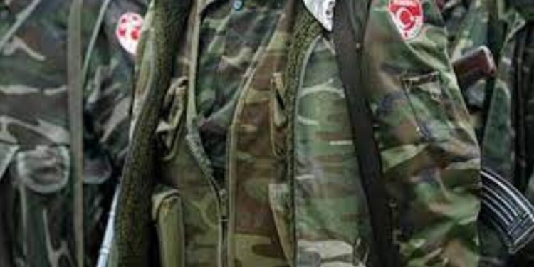 Siirt’in Pervari ilçesinde konrtgerilla faaliyetleri