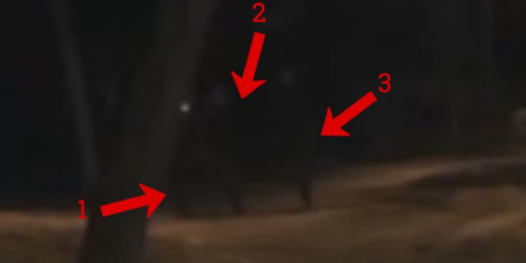 HBDH Aynur Ada Milislerinden eylem