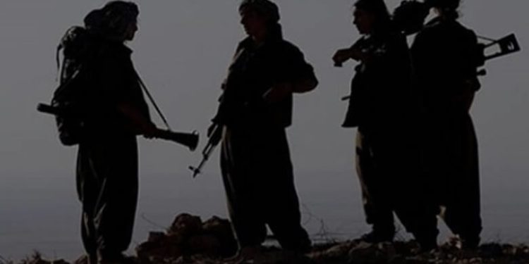 Devrimci Halk Savaşında Demokratik Modernite Gerillacılığı -II-