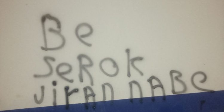 Yurtsever Gençlik: Mazlum’dan Veysi’ye Veysi’den Mehmet’e mücadele sürüyor