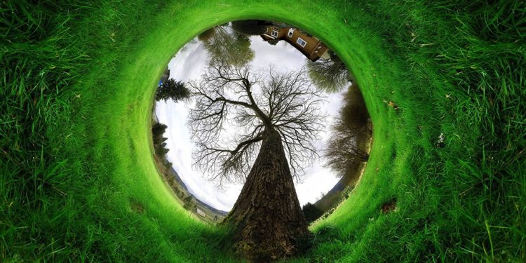 Atina Savunmasından Ekoloji – II- Önder Apo