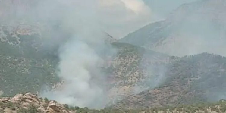 Besta’da şehit düşen 2 HPG gerillasının cenazesi memleketlerine götürüldü