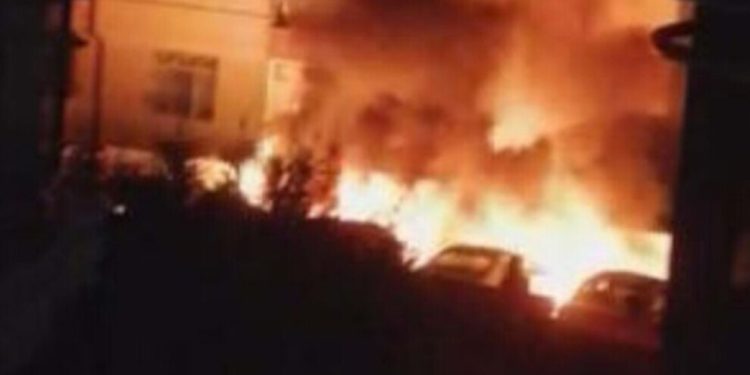 Nisêbîn’de Tolhildana Jinan İnisiyatifi eylem gerçekleştirdi