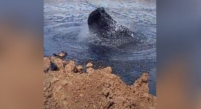 “Gabar’da petrol fışkırıyor” dedikleri görüntünün Venezuela olduğu ortaya çıktı