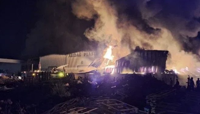 Jinên Tolhildêr İnisiyatifi’nden Şehit Zilan anısına bir dizi eylem