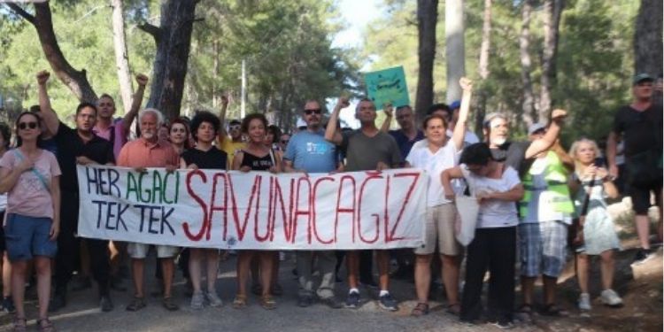 Gençler Akbelen’de: Geleceğimize sahip çıkıyoruz