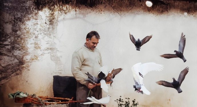 İmralı raporunu açıklamayan CPT: Tecrit hukuka aykırı!