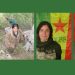 HPG: Destan yoldaş fedaice şehadete yürüdü