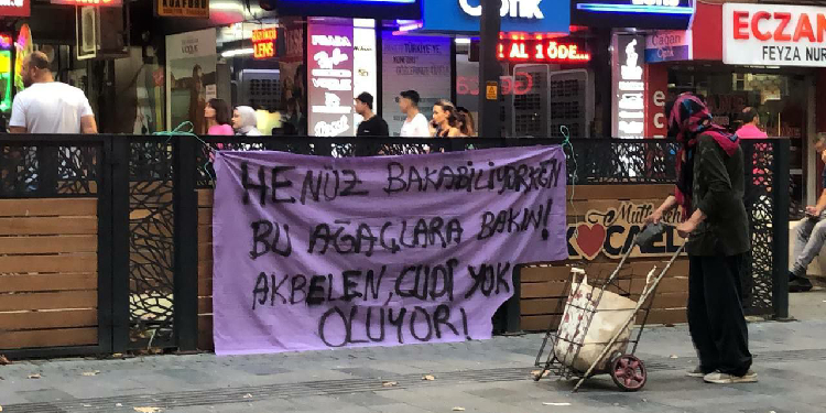 Gençlerden doğa talanına pankartlı protesto