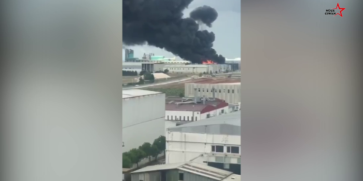 Jinên Tolhildêr İnisiyatifi bir çok kentte eylem düzenledi