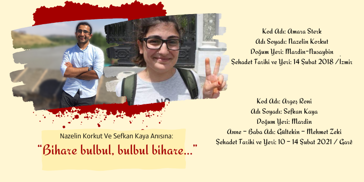 Firaz Ronî: “Bihare bulbul, bulbul bihar e”