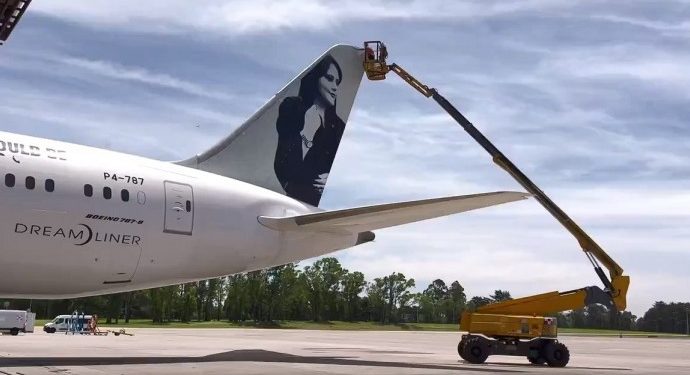 Üzerinde Jîna Emînî fotoğrafı olan uçağın inişine engel