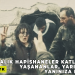 HBDH Yürütme Komitesi: “19 Aralık Hapishaneler Katliamı’nda Yaşananlar, Yarına Kalır Yanınıza Kalmaz!”