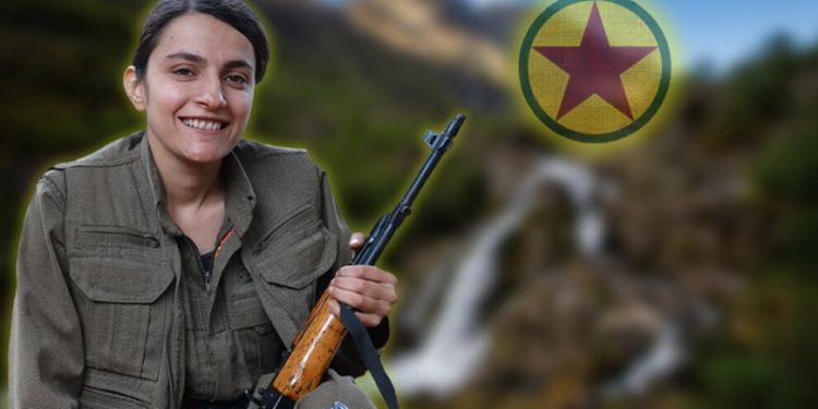 Yoldaşların Yoldaşı Dilan