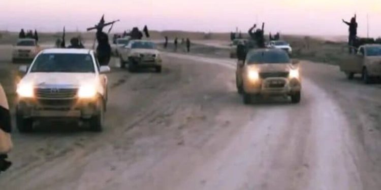 DAİŞ çeteleri yine mantar toplayan köylülere saldırdı