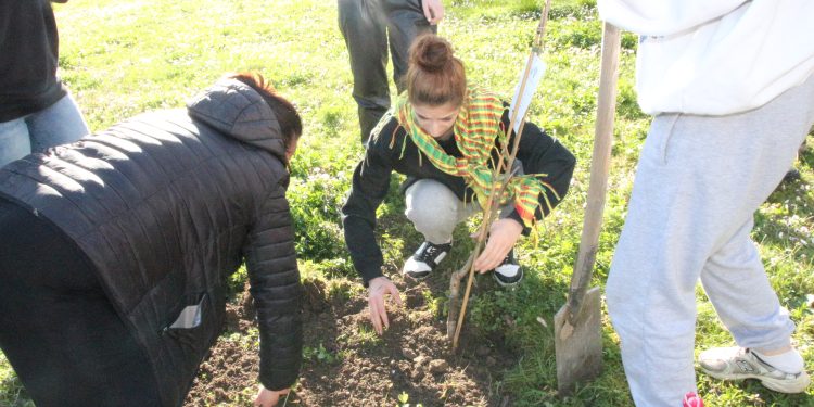 TekoJIN Genç Kadınlarla Kürdistan Tarihini esas alan 3 günlük eğitim düzenledi.