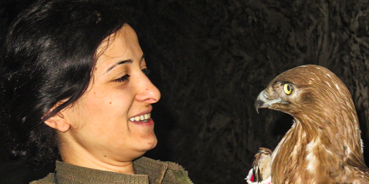 Aklını Başat Hale Getirirsen ve Formunu Zenginleştirirsen Büyük Bir Gerilla Olabilirsin; Sara’laşabilirsin!