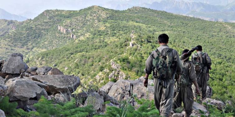 ZAP Yoldaşlığı: İki Şeker