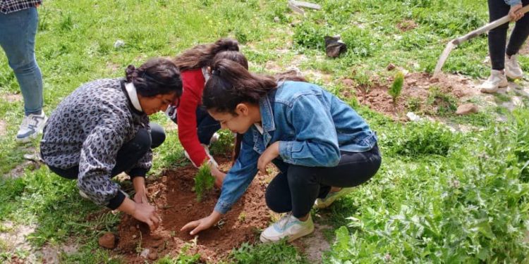 Kobanêli genç kadınlar Önder Apo’nun doğum günü için ağaç dikti