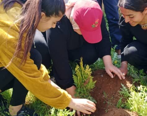 Kobanêli genç kadınlar Önder Apo’nun doğum günü için ağaç dikti