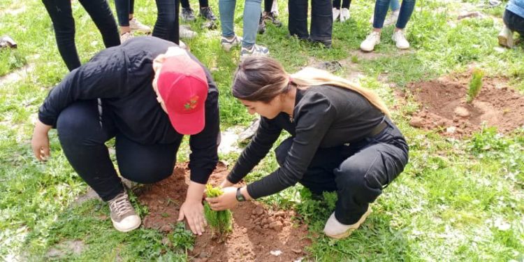Kobanêli genç kadınlar Önder Apo’nun doğum günü için ağaç dikti