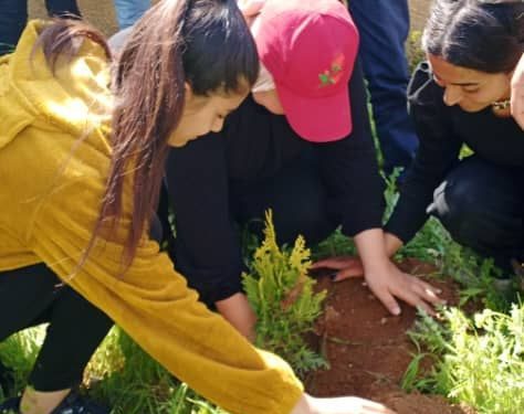 Kobanêli genç kadınlar Önder Apo’nun doğum günü için ağaç dikti