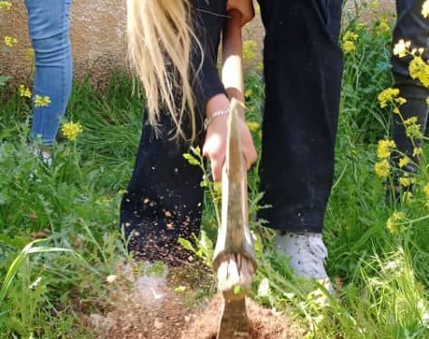 Kobanêli genç kadınlar Önder Apo’nun doğum günü için ağaç dikti