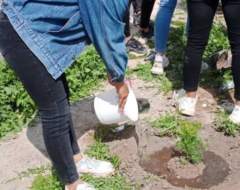 Kobanêli genç kadınlar Önder Apo’nun doğum günü için ağaç dikti