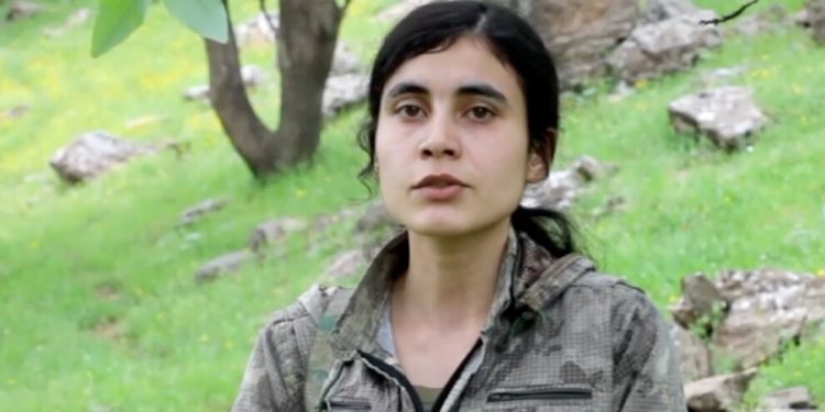 ‘Haki Karer’i tanımak PKK’yi tanımaktır’