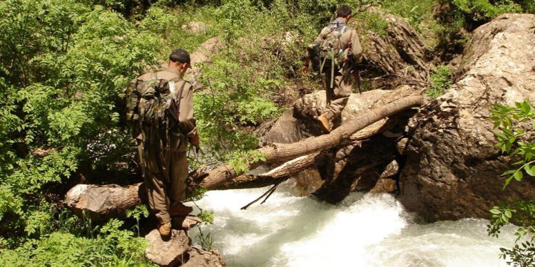 Gerilla Gever, Zap ve Metîna’da vurdu