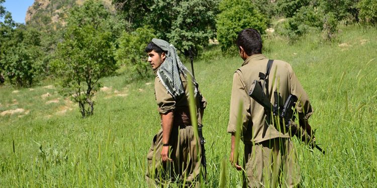 Metîna’da iki koldan eylem: 13 işgalci cezalandırıldı