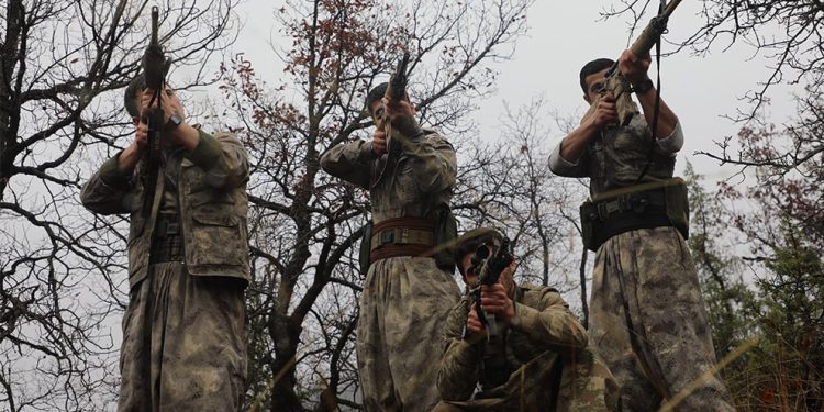 Gerilla Zap’ta işgalciler yönelik çok sayıda eylem gerçekleştirdi